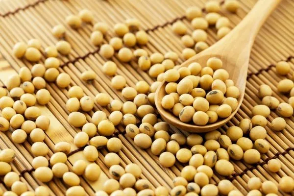 Srbija ušla u top 10 po isporukama organskih žitarica i uljarica u EU